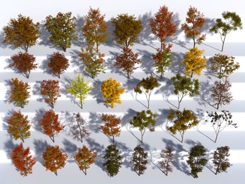  植物 绿植 中古风 树 乔木3d模型 