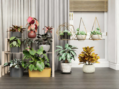 北欧风室内绿植 原木花架 多肉吊篮 观叶植物su模型