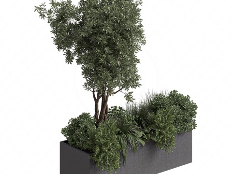  景观树箱3d模型 
