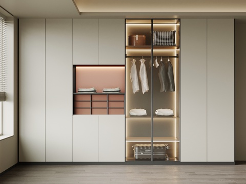  现代衣柜 极简成品衣柜3d模型 