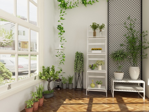  绿植盆栽 植物盆栽 仙人掌 盆景3d3d模型 