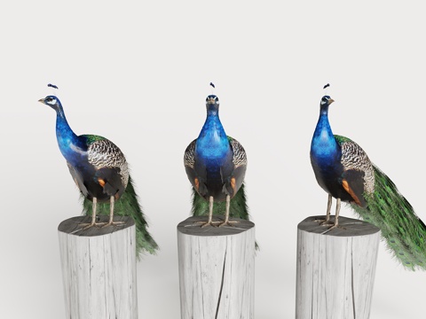 孔雀 孔雀雕像雕塑 孔雀摆件饰品su模型