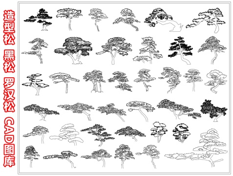 新中式造型松 黑松 罗汉松 油松 迎客松 飘枝松树 歪脖子树cad施工图