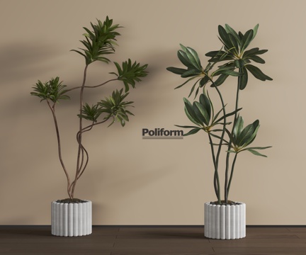  现代绿植3d模型 