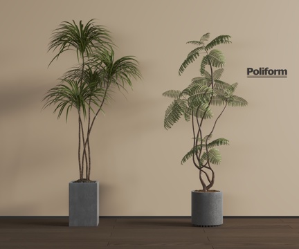  现代绿植3d模型 