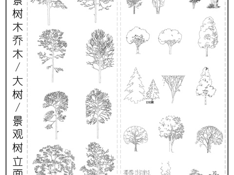 树木大树 乔木 绿植 景观植物立面图cad施工图