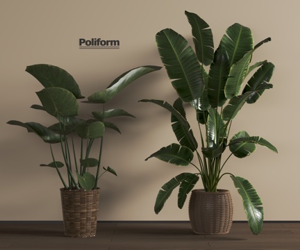  现代绿植3d模型 