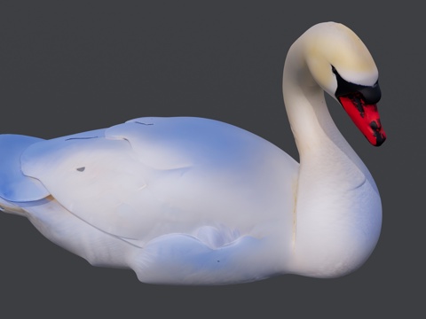白天鹅su模型