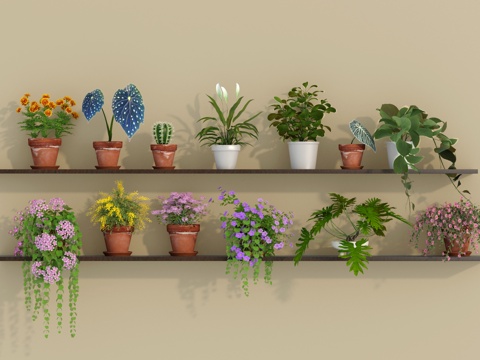 绿植 植物 多肉 盆栽 小绿植su模型