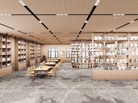 现代创意图书馆 异形书架 图书馆书店书吧 阅览室空间 书架su模型