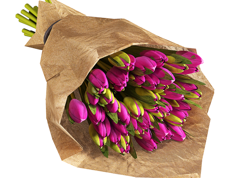  花束 花草3d模型 