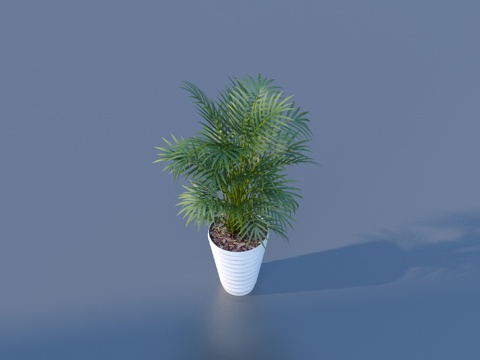  花盆 盆栽 绿植 植物3d模型 