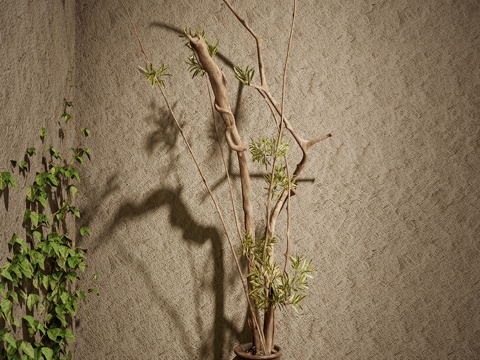 侘寂盆栽景观 景观小品 侘寂植物su模型