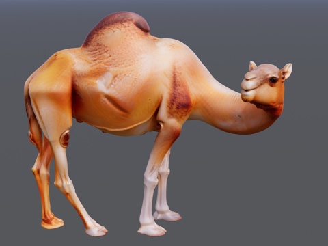  沙漠里的骆驼su模型 