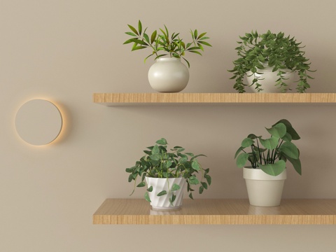 现代盆栽盆景 绿植su模型