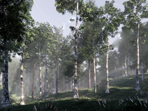 现代公园景观_树林su模型