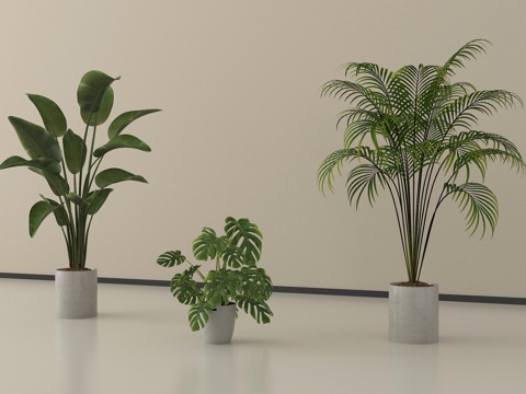 现代盆栽 盆景 绿植 盆栽组合su模型