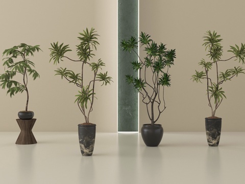 现代盆栽 盆景 绿植 盆栽组合su模型