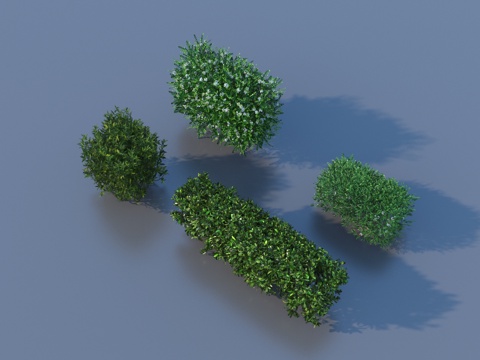  绿蓠 灌木 花草 植物3d模型 