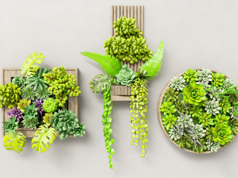  多肉植物墙 垂直绿化墙 室内绿植墙 多肉组合盆栽 竹编壁挂花su模型su模型 