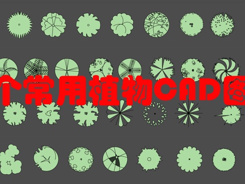 棕榈灌木CAD图例cad施工图