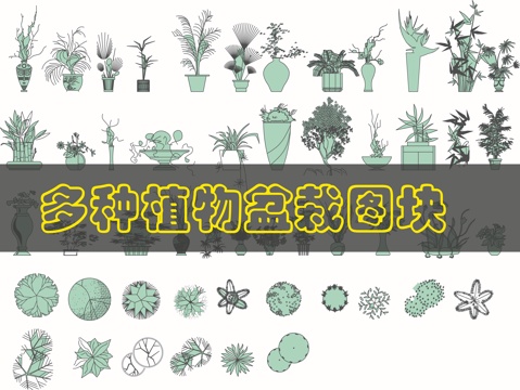 植物平立面图库2cad施工图