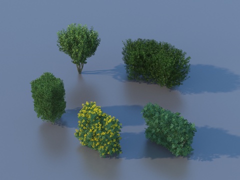  绿蓠 灌木 花草 植物3d模型 