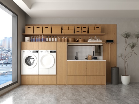  洗衣房  家政间 洗衣机  熨烫机  熨衣处3d模型 