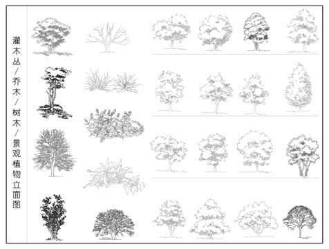 乔木 树木 灌木丛  景观植物立面图cad施工图