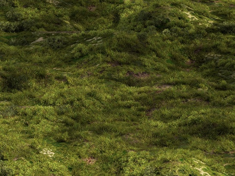  苔藓草丛套装323d模型 