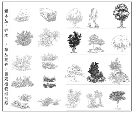 草丛花卉 灌木丛 乔木  景观植物组合图cad施工图