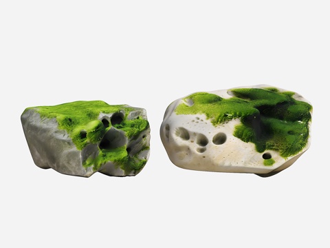  苔藓石头 景观石头 现代石头 庭院石头 禅意石头 置石3d模型 