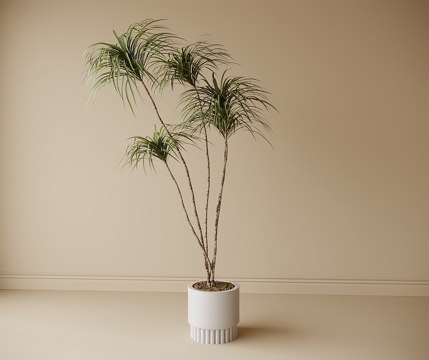 现代盆栽盆景 植物绿植su模型