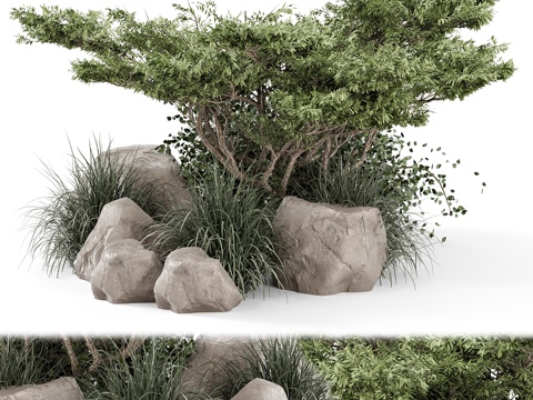  户外花园套装灌木与树木 - 花园套装21063d模型 