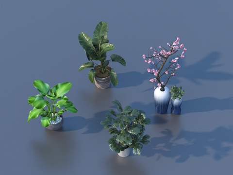  盆栽 绿植 植物3d模型 