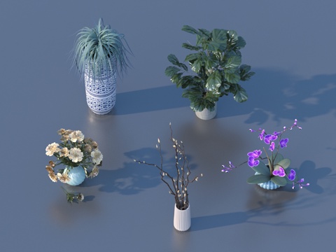  盆栽 绿植 植物3d模型 