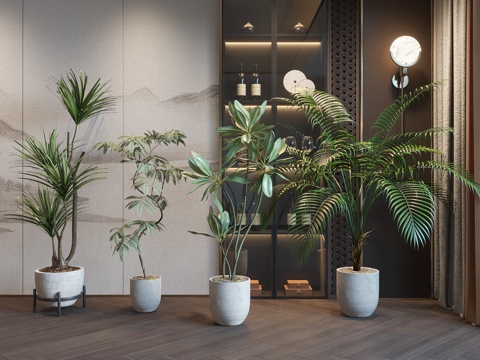 现代绿植盆栽su模型