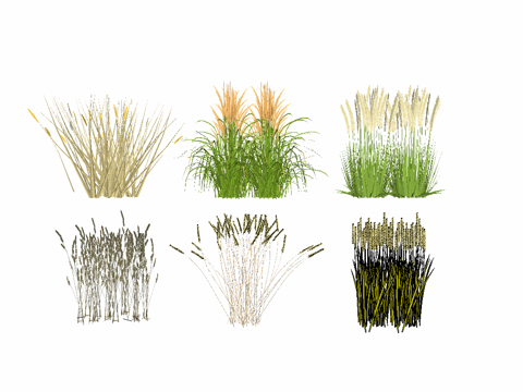 小麦水稻农作物su模型