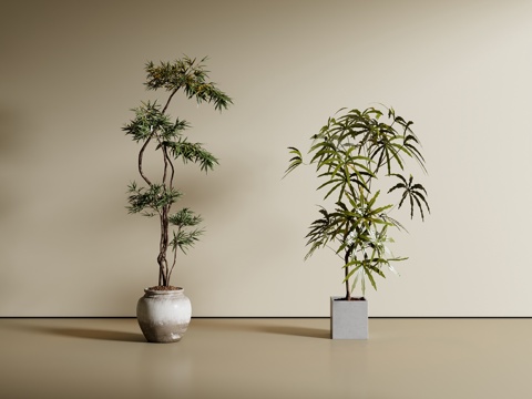 现代绿植盆栽 植物 盆景su模型
