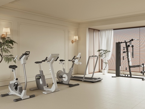 现代健身器材su模型