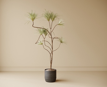 现代盆栽盆景 绿植摆件 绿植su模型