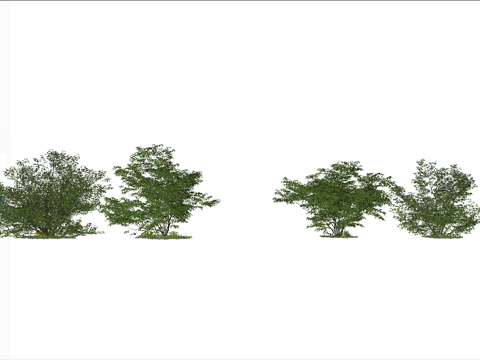 现代绿植灌木_矮树su模型