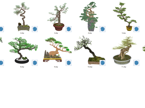 中式松树盆栽盆景_迎客松_罗汉松_景观树su模型