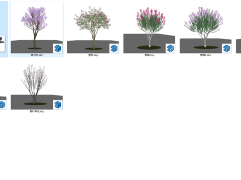 现代风格景观树_花乔_乔木_树木_紫荆树_紫薇树_紫叶李花su模型