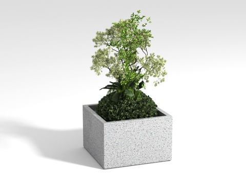 现代花坛植物3d模型 