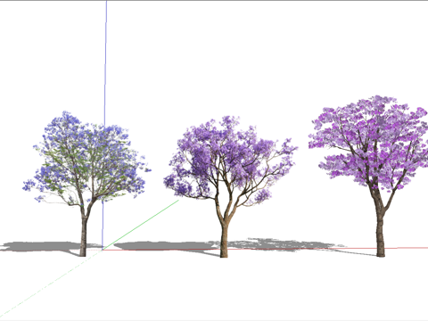 现代风格景观树_花乔_乔木_树木_紫荆树_紫薇树_紫叶李花su模型