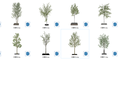 现代风格景观树_花乔_乔木_树木_紫荆树_紫薇树_紫叶李花su模型