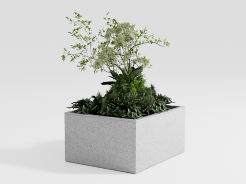  现代花坛植物23d模型 
