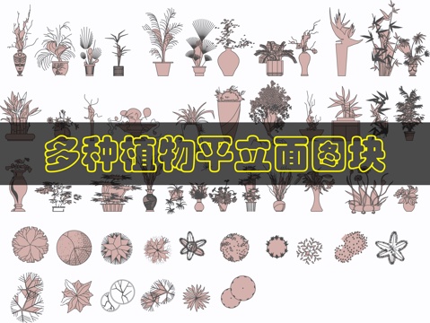 植物CAD图库cad施工图