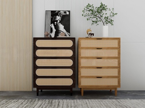 北欧风五斗柜 藤编抽屉柜 实木斗柜 编织藤编柜门su模型